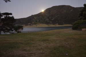 Stunning Houhora Harbour from the Houhora Heads B&B