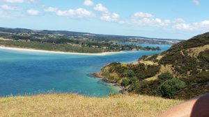 Houhora Harbour from Mt Camel